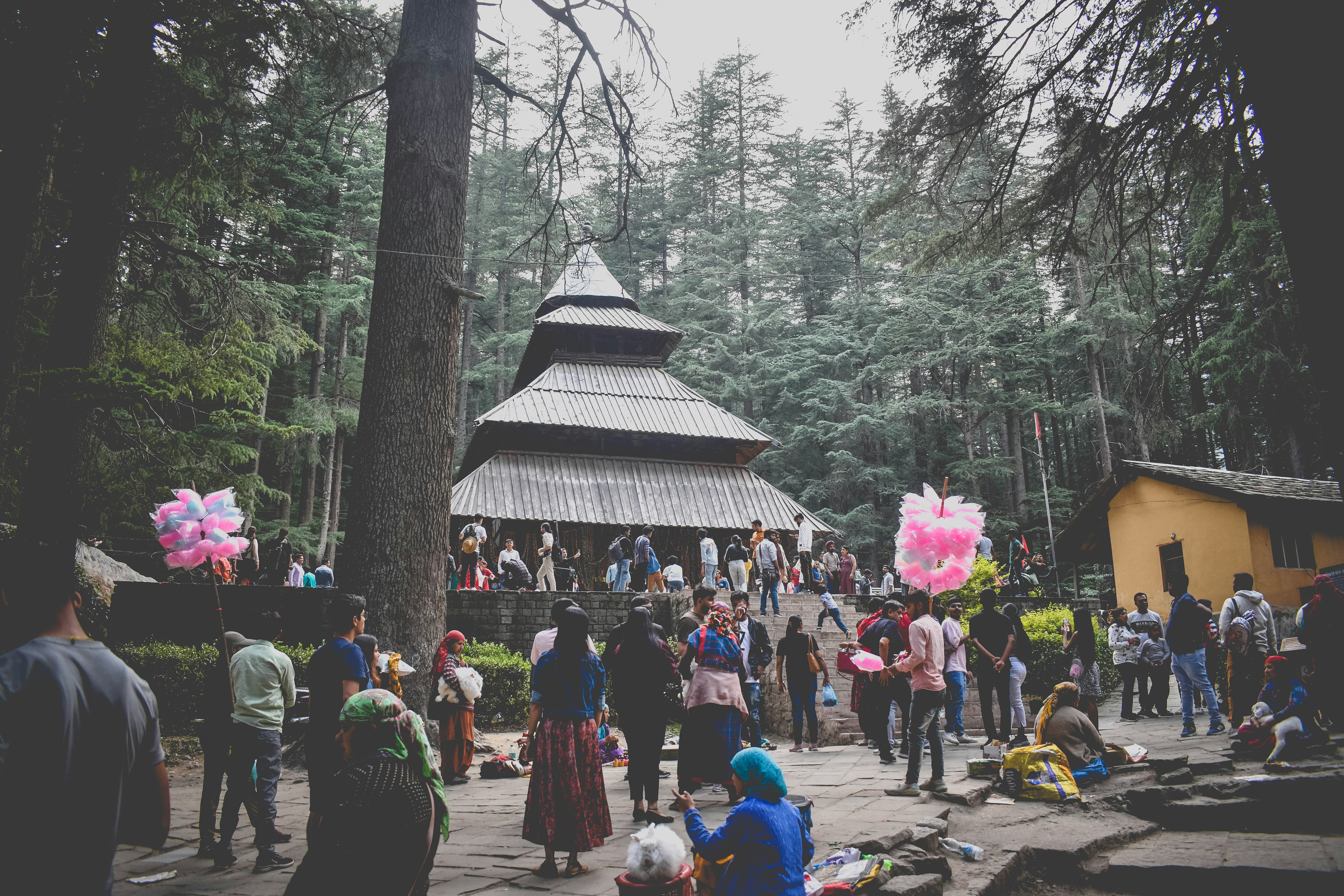 Manali Holiday Packages: Your Gateway to the Himalayas