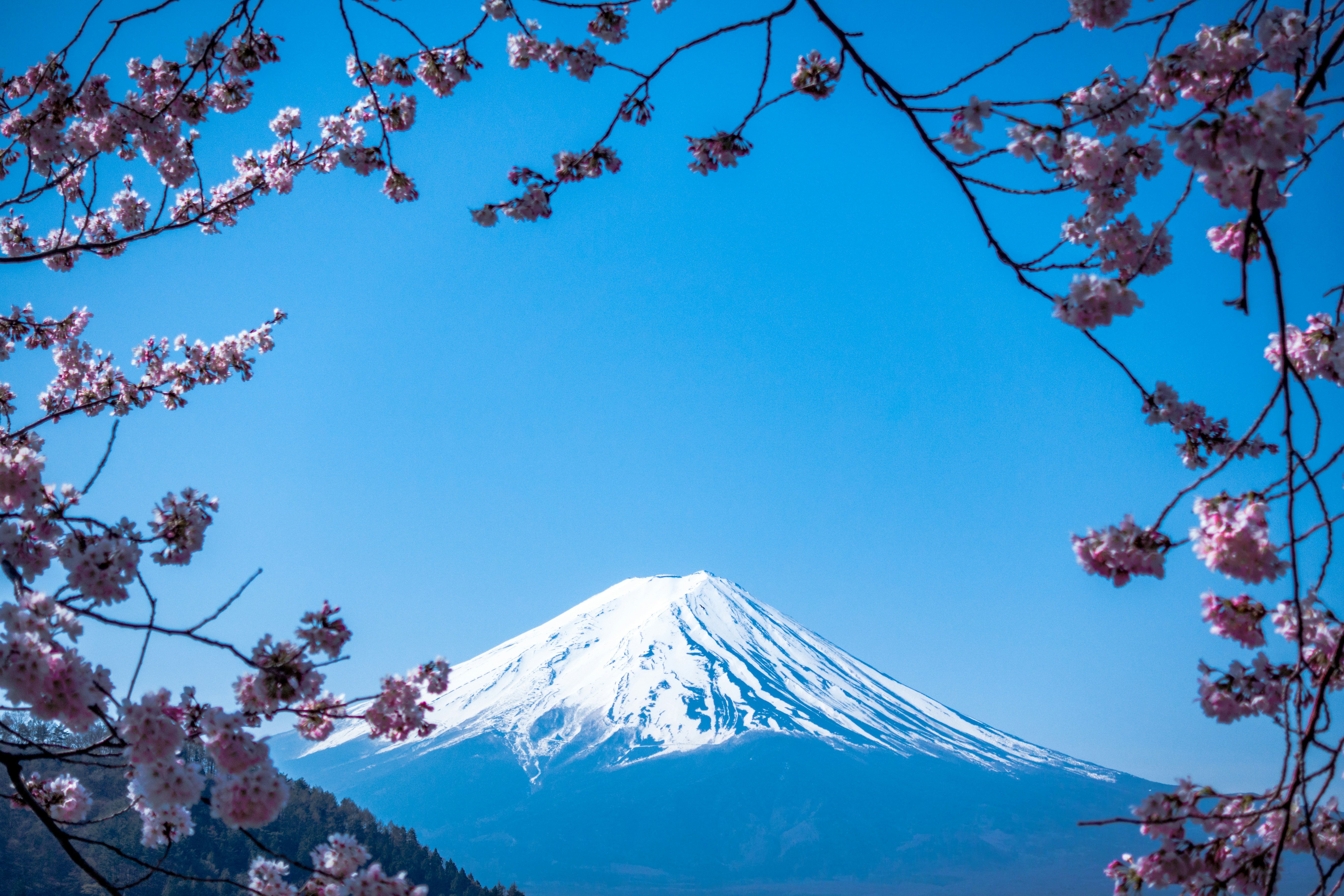 Japan tour packages