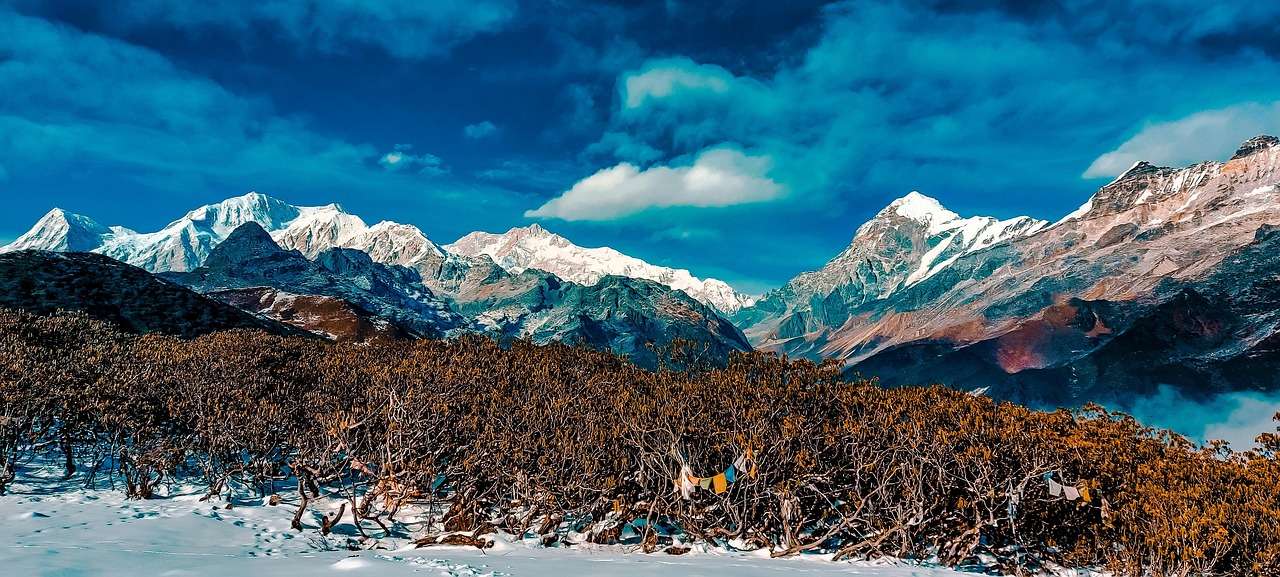 Manali Shimla Tour